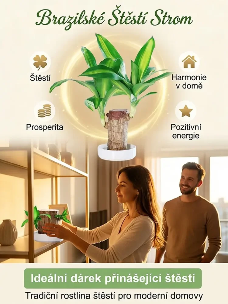 🏡 Luxusní dřevěná dekorace MOONSPRY přírodní materiál z Brazílie 🌿