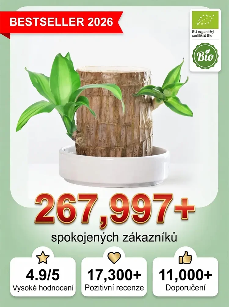 🏡 Luxusní dřevěná dekorace MOONSPRY přírodní materiál z Brazílie 🌿