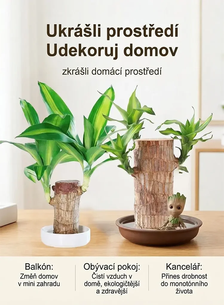 🏡 Luxusní dřevěná dekorace MOONSPRY přírodní materiál z Brazílie 🌿
