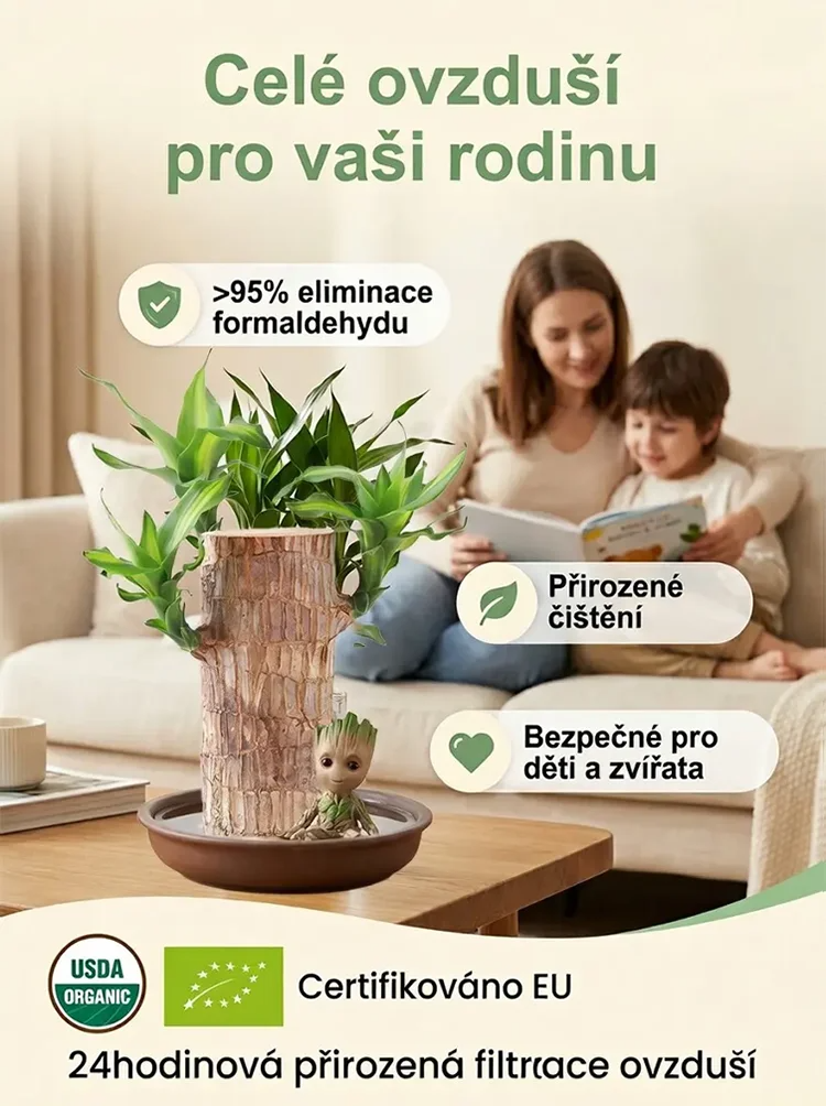 🏡 Luxusní dřevěná dekorace MOONSPRY přírodní materiál z Brazílie 🌿