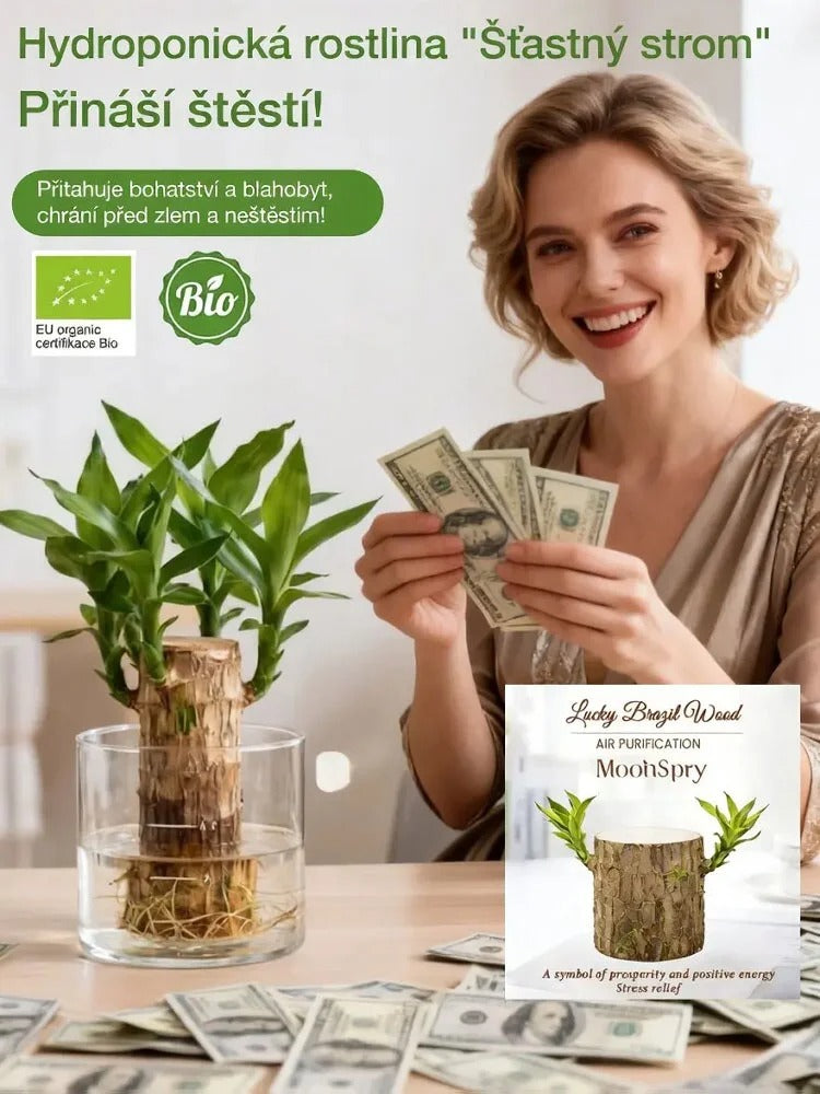 🏡 Luxusní dřevěná dekorace MOONSPRY přírodní materiál z Brazílie 🌿
