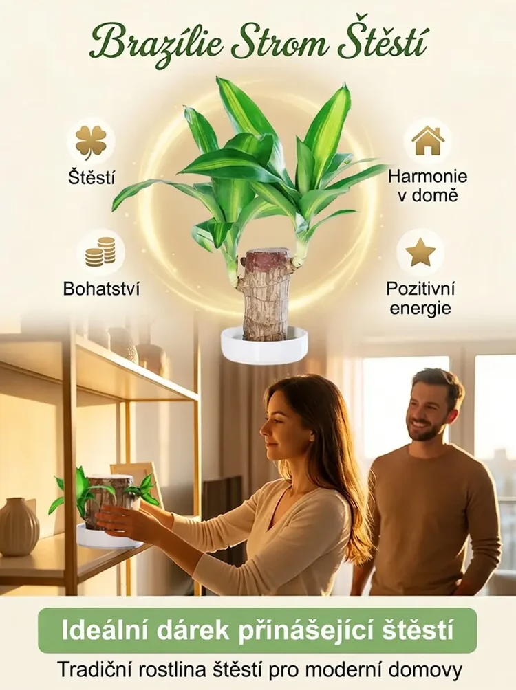 🏡 Luxusní dřevěná dekorace MOONSPRY přírodní materiál z Brazílie 🌿