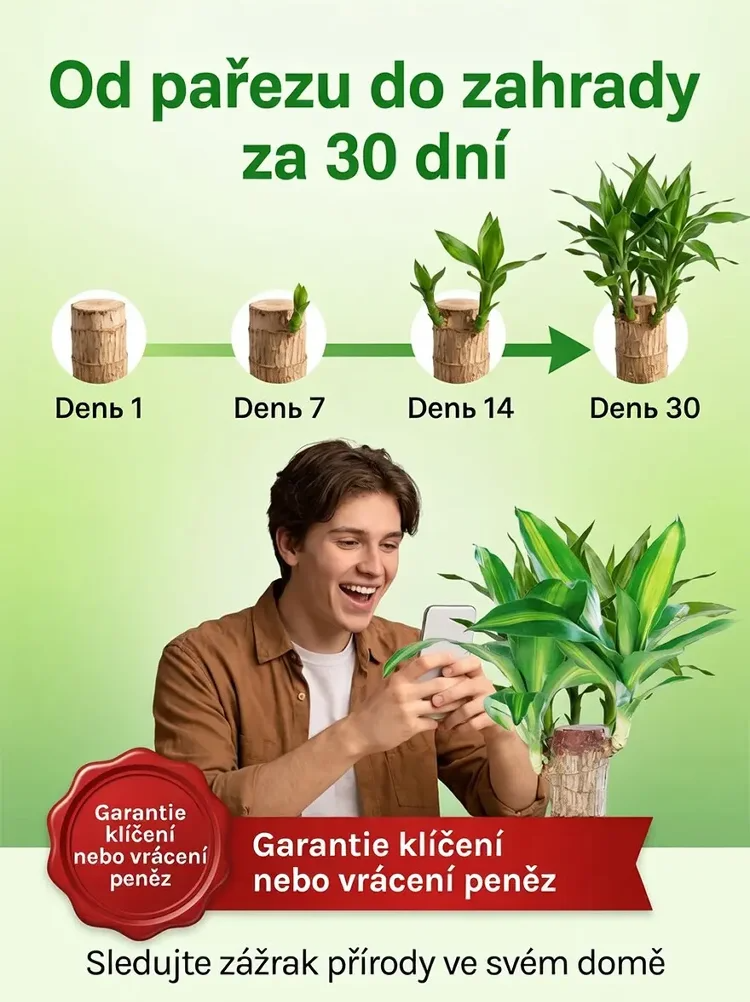🏡 Luxusní dřevěná dekorace MOONSPRY přírodní materiál z Brazílie 🌿