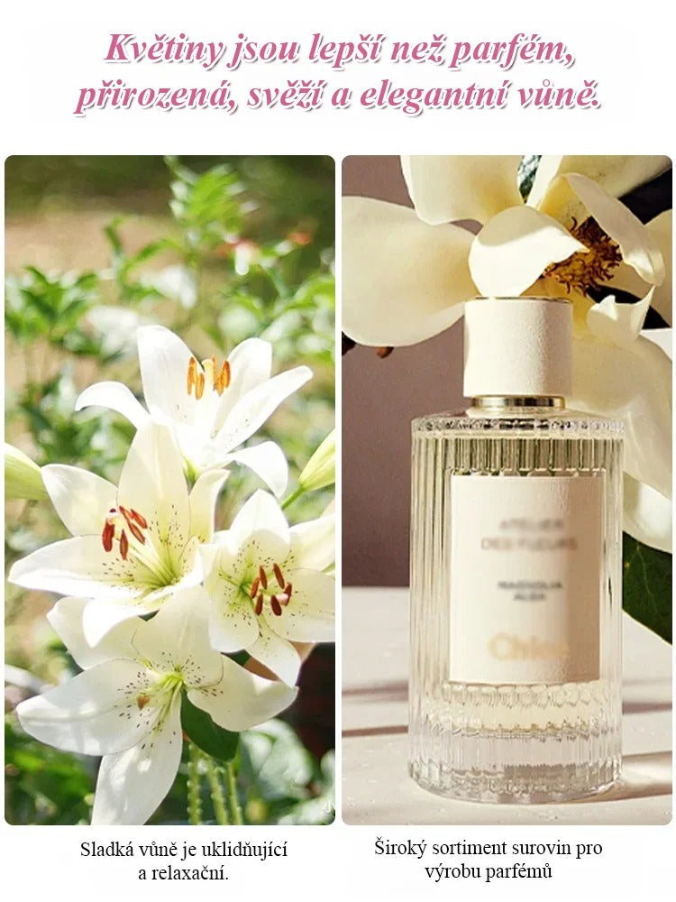 🌸💨 Kvetina s dlhým kvitnutím (až 200 dní), silná vôňa, ideálna pre začiatočníkov