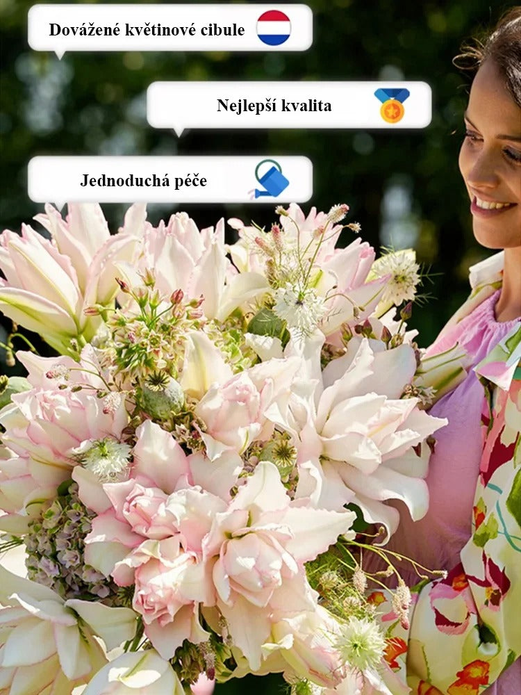 🌸💨 Kvetina s dlhým kvitnutím (až 200 dní), silná vôňa, ideálna pre začiatočníkov